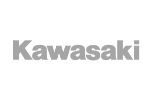 Kawasaki-Gray
